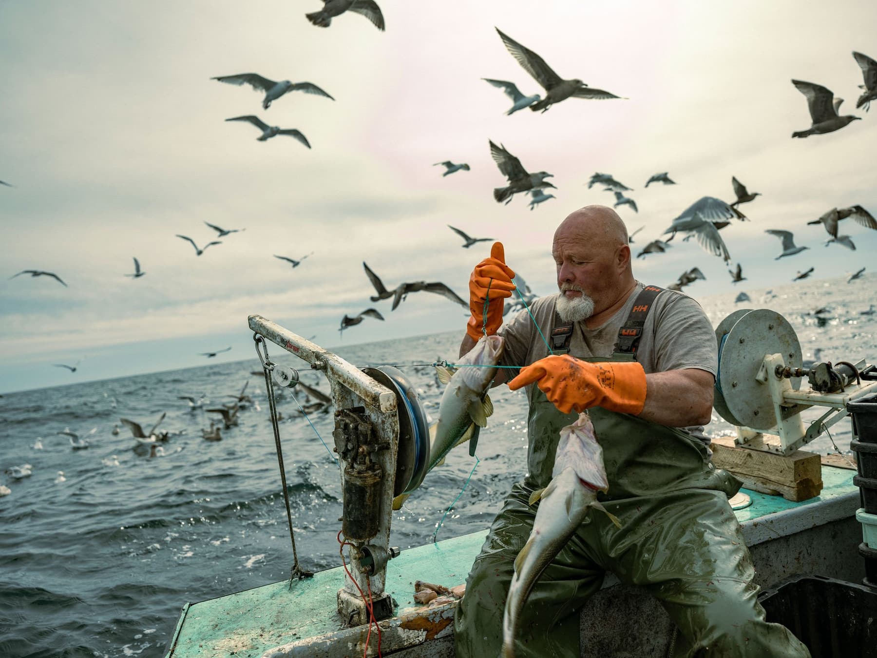 One Hook, One Fish, One Future: Reviving a Fishing Tradition Through Culinary Excellence